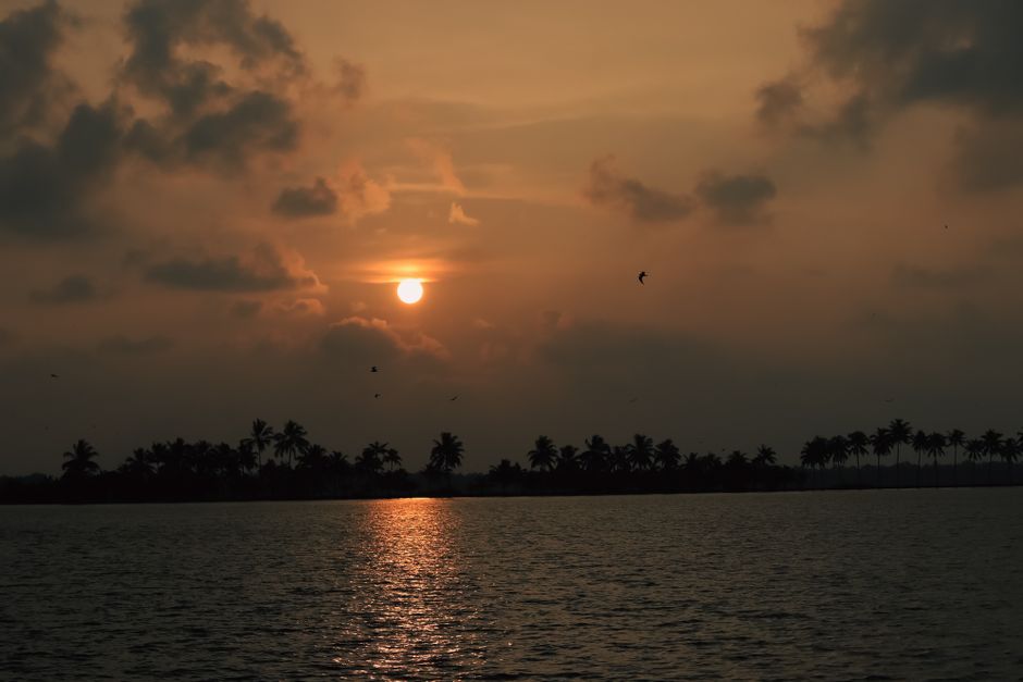 Sunset over Kuttanad backwaters, Kerala