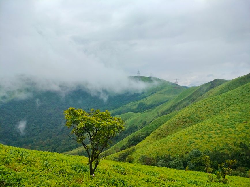 Chikkamagaluru hills, Karnataka