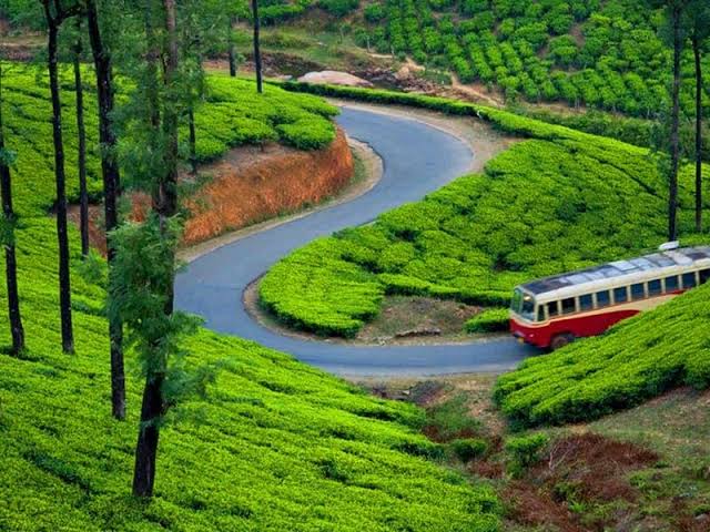 Scenic drive through the Western Ghats
